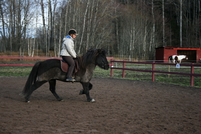 Saga14nov1105.JPG