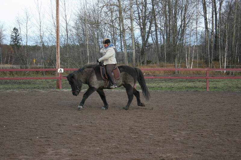 Saga14nov1112.JPG