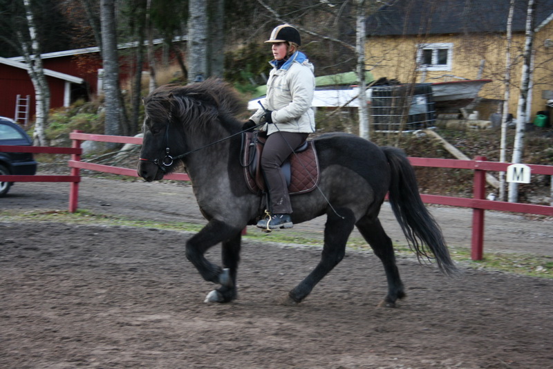 Saga14nov1113.JPG