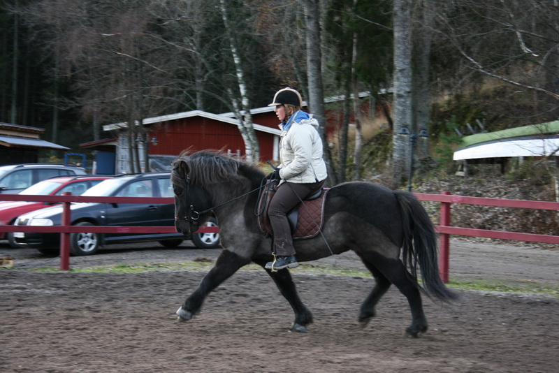 Saga14nov1116.JPG