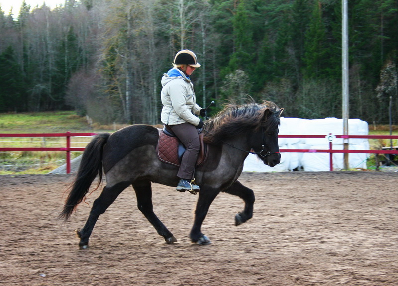 Saga14nov1126.JPG