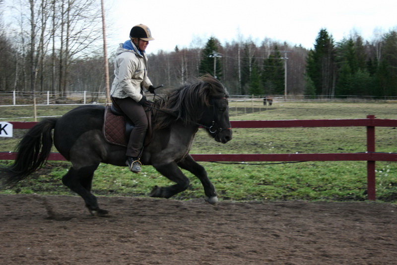 Saga14nov1129.JPG