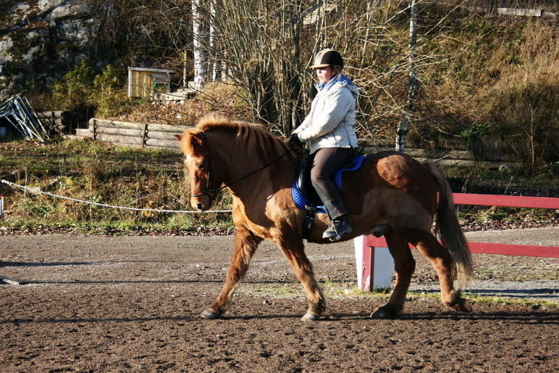 Stjarni14nov1105.JPG