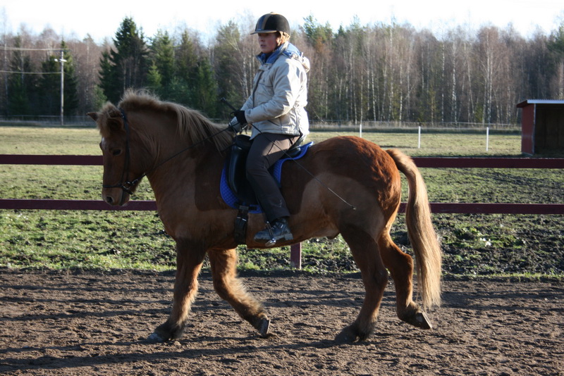 Stjarni14nov1106.JPG