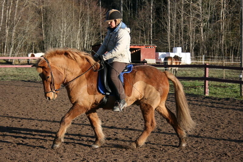 Stjarni14nov1107.JPG