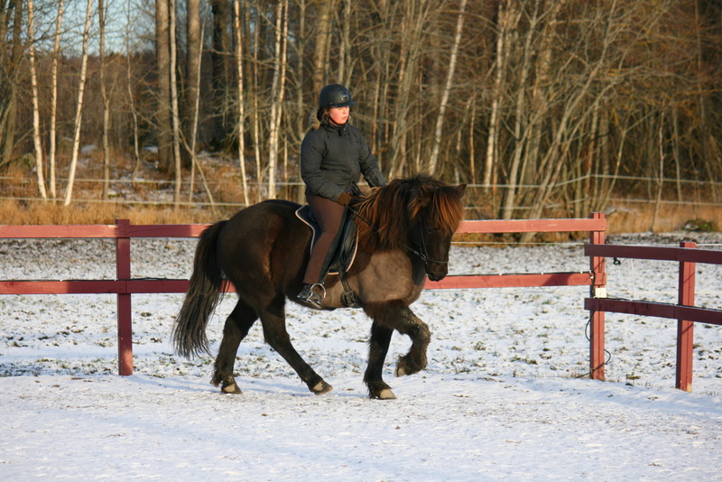 Greidi6jan1221.JPG