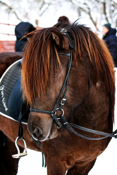 oltolt201287.JPG