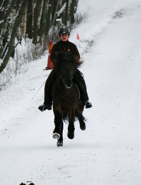 oltolt2012118.JPG
