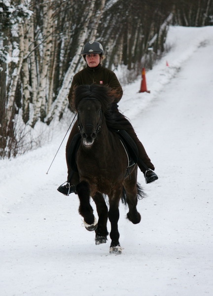 oltolt2012122.JPG