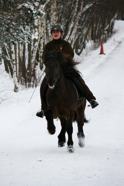 oltolt2012123.JPG