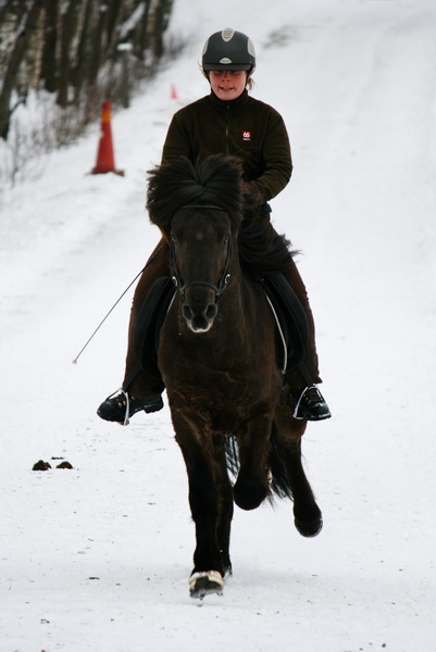 oltolt2012133.JPG