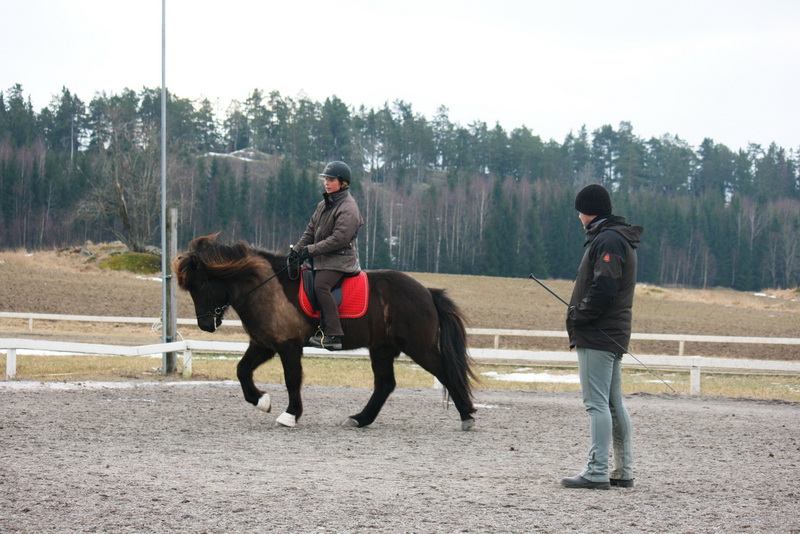 Greidi2012mars11.JPG