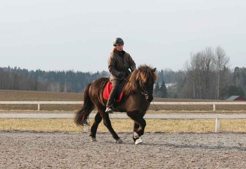 Greidi2012mars14.JPG