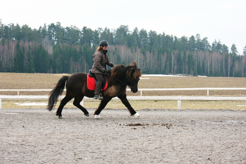 Greidi2012mars17.JPG
