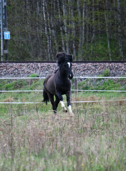betessläpp 013.JPG