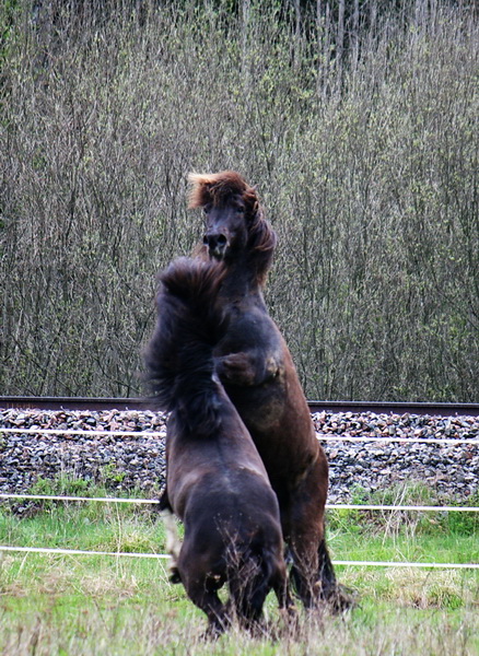 betessläpp 050.JPG