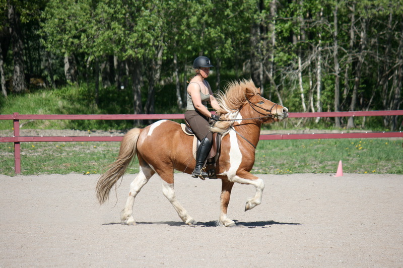 Seidur27051238.JPG