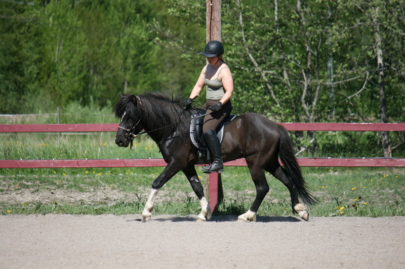 Ari270512 53.JPG
