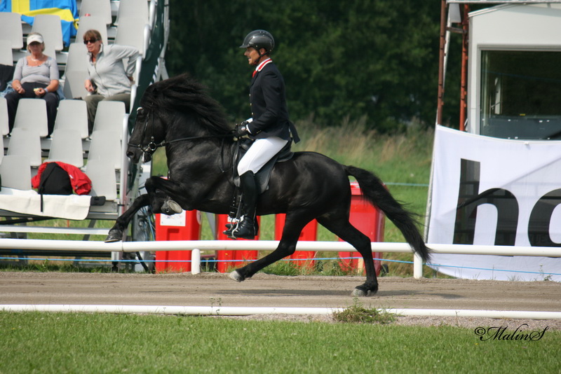 IMG_2642.JPG