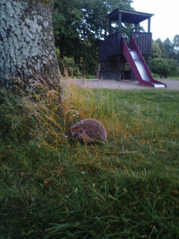 Foto0111.jpg