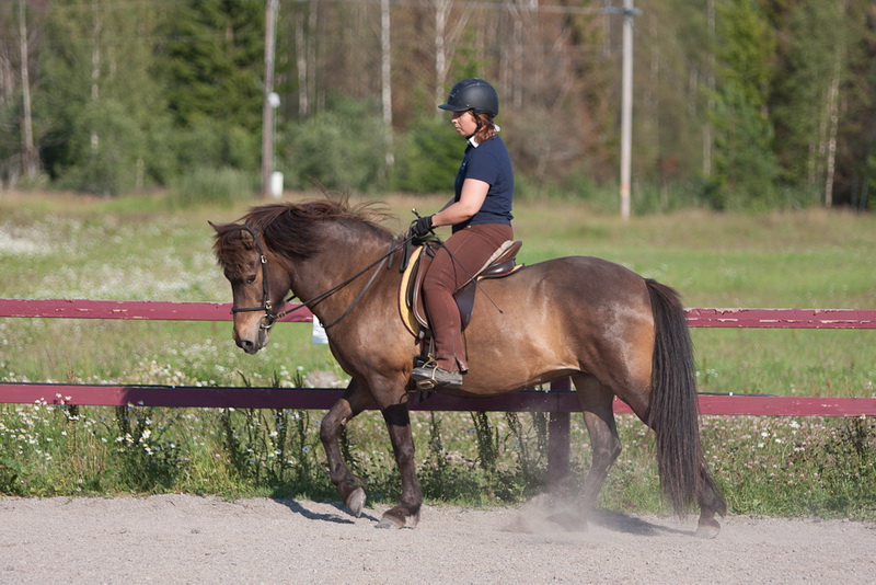 Tridpass27071201.jpg