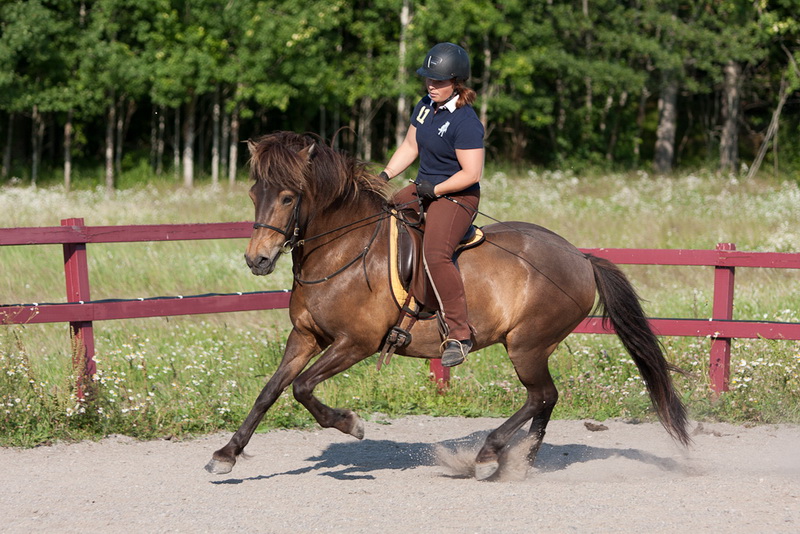 Tridpass27071225.jpg