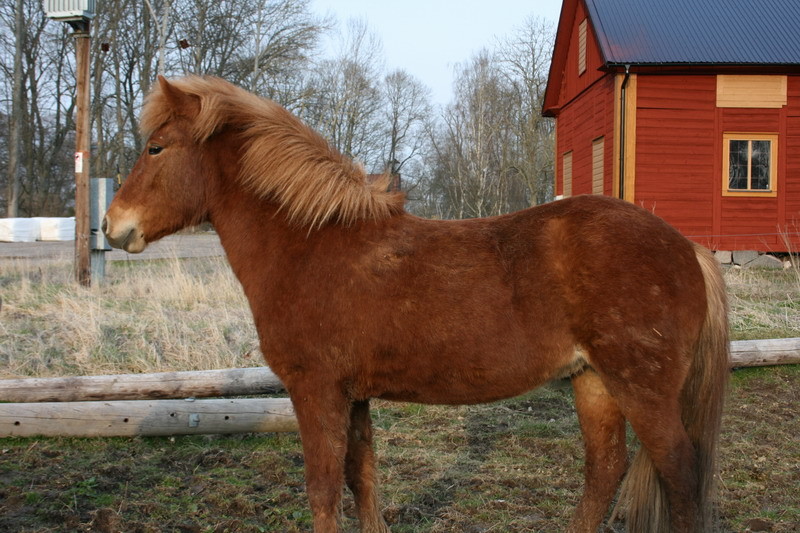 Solapril085.JPG