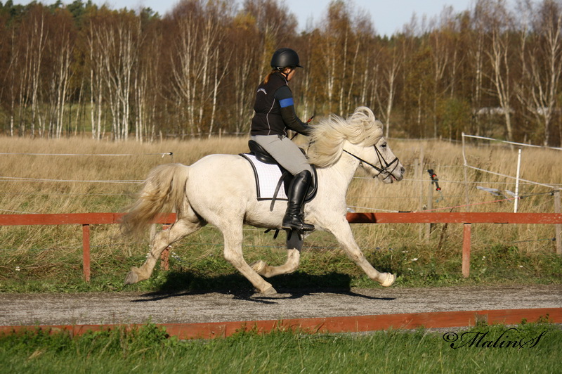 IMG_6844.JPG
