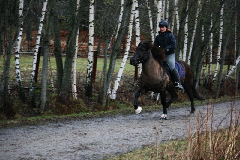 passclinic 065.JPG