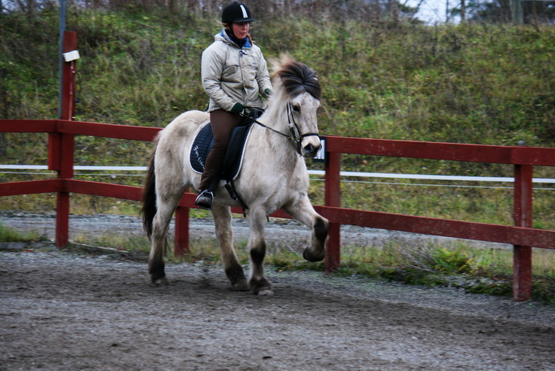Kelda1dec65.JPG