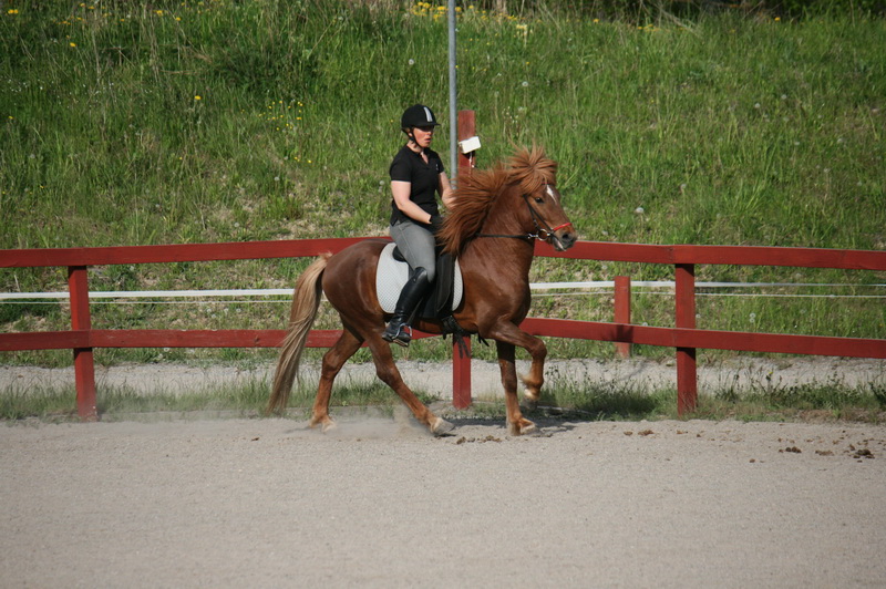 Exaktmaj 037.JPG