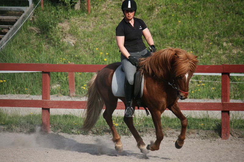 Exaktmaj 027.JPG