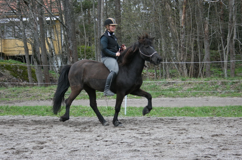 hästarna 361.JPG