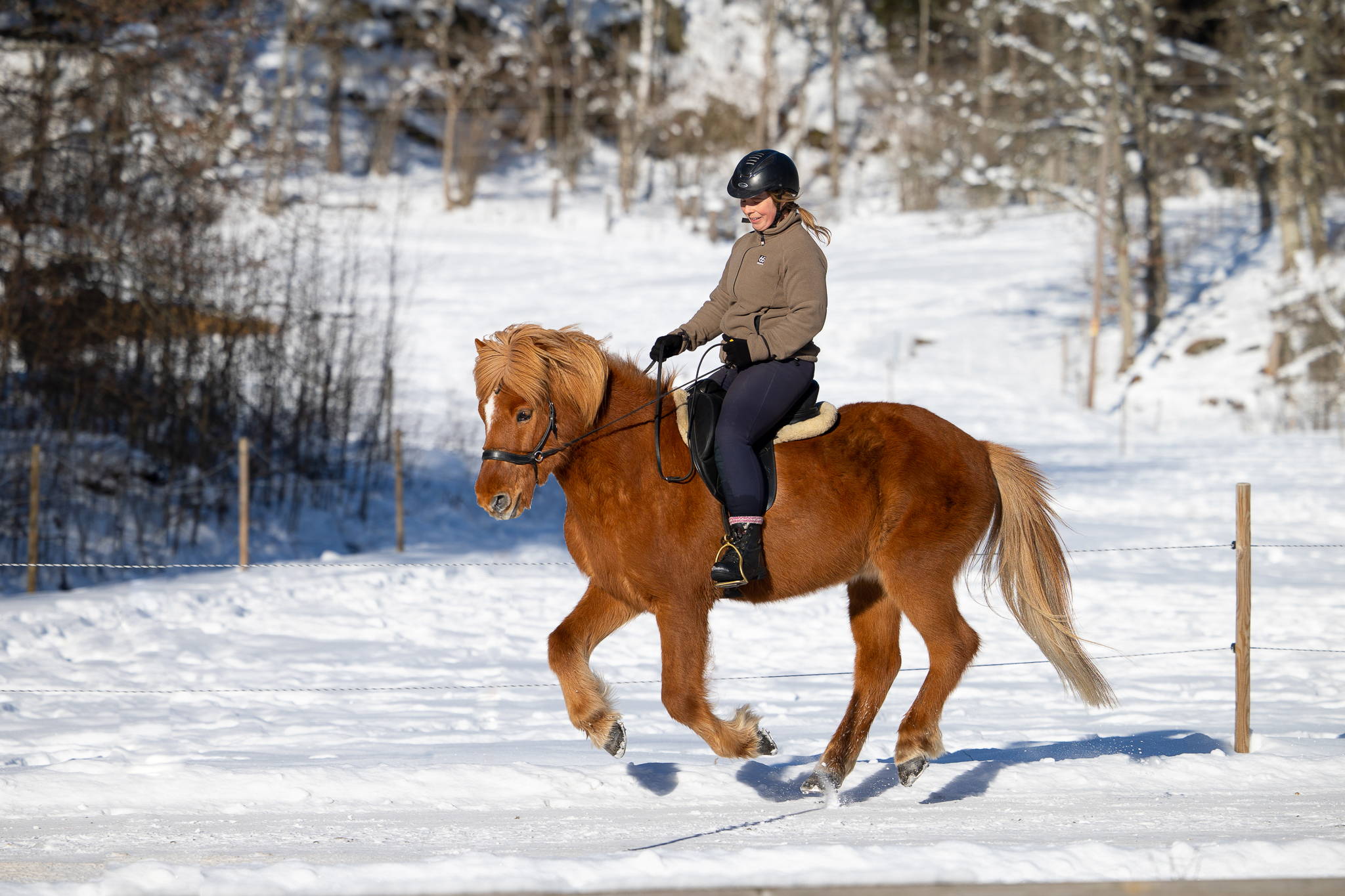 Malin rider Exakt från Fors Gård i galopp på en snöig väg